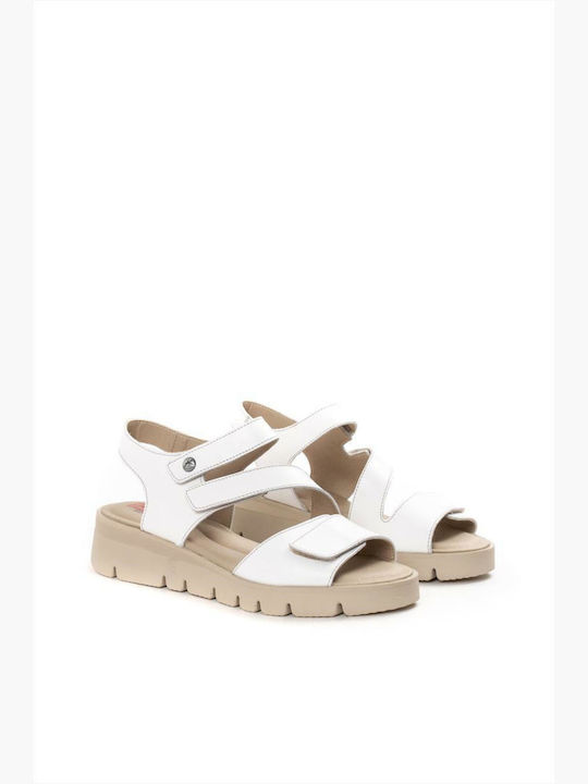 Fluchos