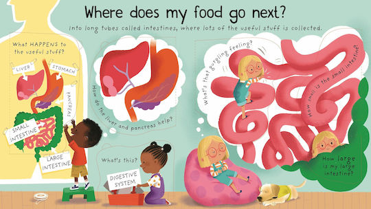 Where does my food go?, First Questions and Answers
