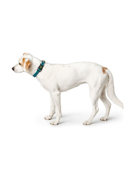 Hunter Hilo Vario Basic Mesh Hundehalsband in Türkis Farbe Groß 32mm x 40 - 60cm