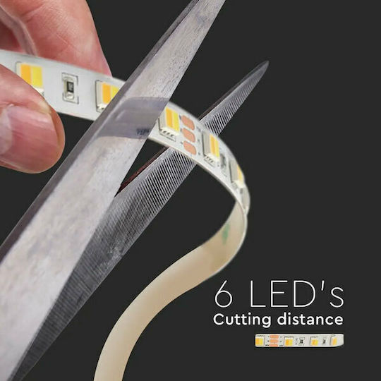 V-TAC LED Strip 24V Adjustable White Light 5m Type SMD2835