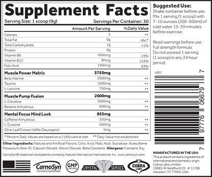 JNX Sports The Shadow Pre Workout Supplement 270g Blue Raspberry