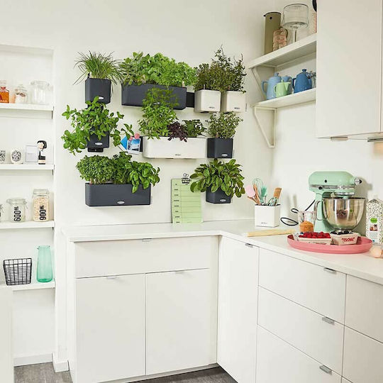 Lechuza Green Wall Σετ 3 Αυτοποτιζόμενες Γλάστρες Πλαστικές Λευκές