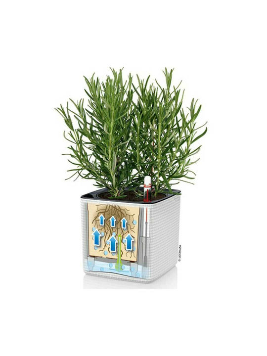 Lechuza Green Wall Set 3 Pots Plastic