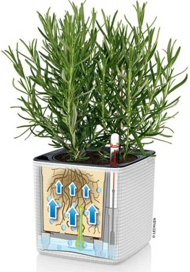 Lechuza Green Wall Σετ 3 Αυτοποτιζόμενες Γλάστρες Πλαστικές Λευκές