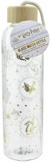 Paladone Harry Potter Flasche Wasser Glas mit Schraubverschluss Transparent 600ml