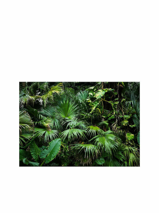 Fototapet de Perete 400x280cm Sunny Jungle Tesatura