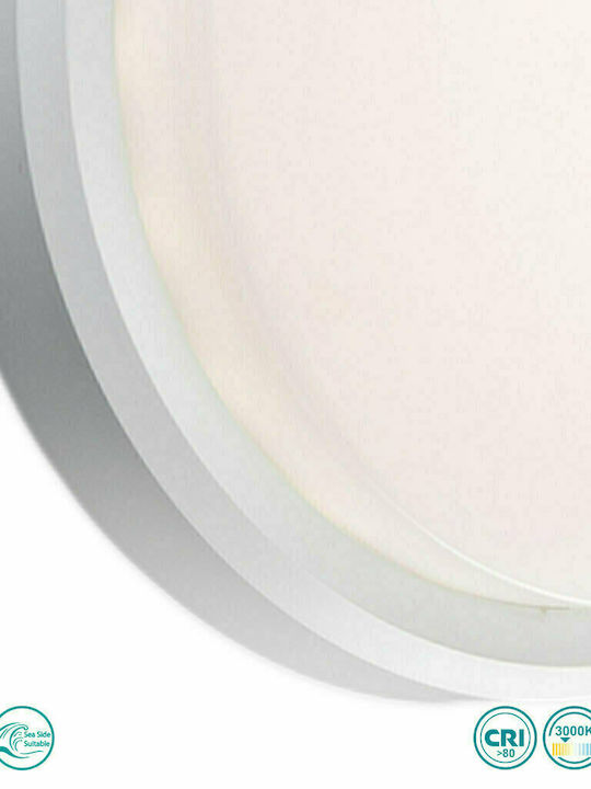 Faro Barcelona Tom Wall-Mounted Outdoor Ceiling Light LED IP65 11W with Warm White Light