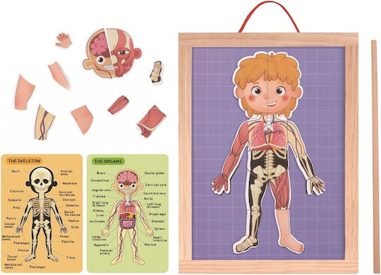 Tooky Toys Μαγνητικό Παιχνίδι Κατασκευών Μαθαίνω το Σώμα μου για Παιδιά 3+ Ετών