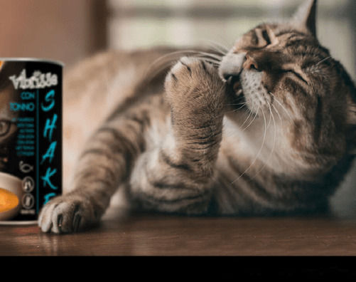 Croci Vibrisse Shake Anatra Wet Food for Adult Cats in Cans with Duck Grain-Free 135gr