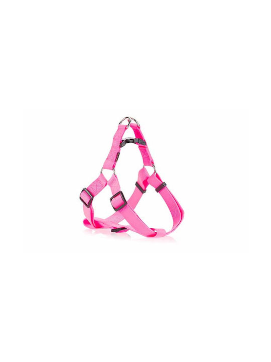 Pet Interest Type A Large 25mm x 55-82cm