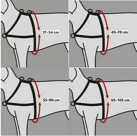 Trixie Training with Neck Strap Large/Extra Large 37cm 37cm