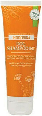 Inodorina Shampoo Dog 113.240.0030005