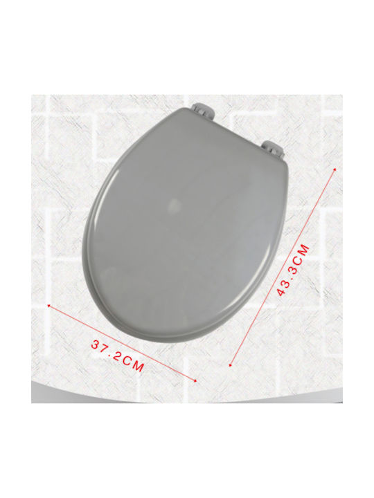Plastic Toilet Seat Gray Bathlux 43.3cm