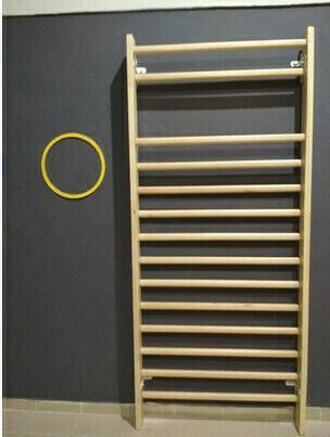 Artimex Sport Wall Bars Bench