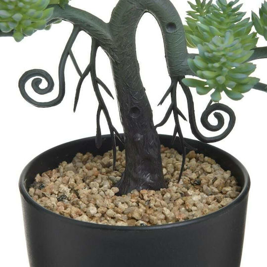 Bonsai În Ghiveci Inart Bonsai În Ghiveci Inart