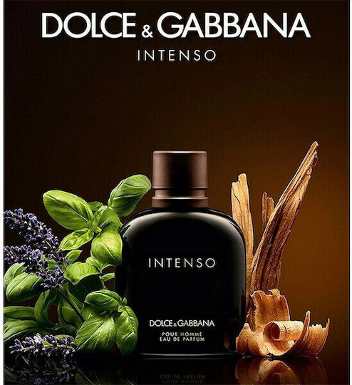 Dolce & Gabbana Pour Homme Intenso Eau de Parfum 200ml