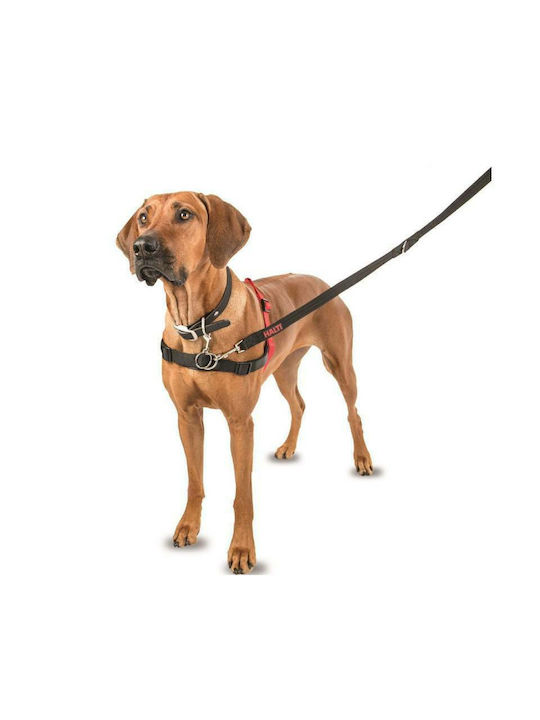 Halti Dog Harness Harness Medium Black/Red Red Medium 109356