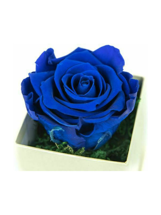 Eternal Rose Blue 9cm in Box Aleiferopoulos Flowers