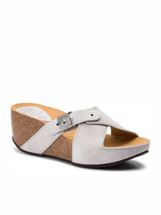 Scholl