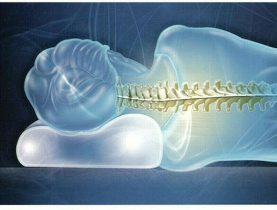 Thuasne Visco Elastic Μαξιλάρι Ύπνου Memory Foam Ανατομικό 32x50x8cm