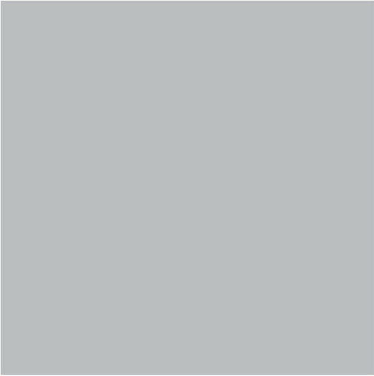 Exas Paper Χαρτόνι Μεταλλιζέ Rainbow Διπλής Όψης 50x70εκ. Ασημί