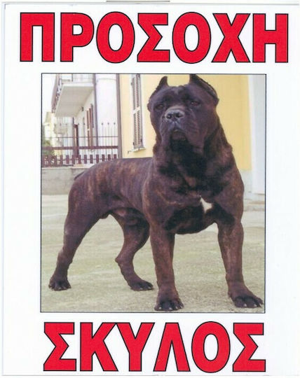 Auto Gs Πινακίδα Προσοχή Σκύλος 20x25εκ.