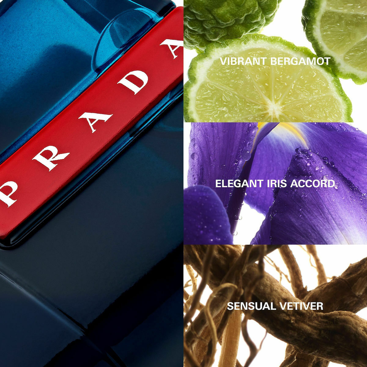 Prada Ocean Eau de Toilette 100ml