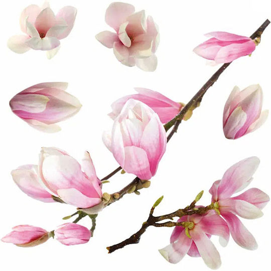 Ango Sticker Display Decorative Spring Time 34x15cm Transparent Magnolia 64006 1pcs