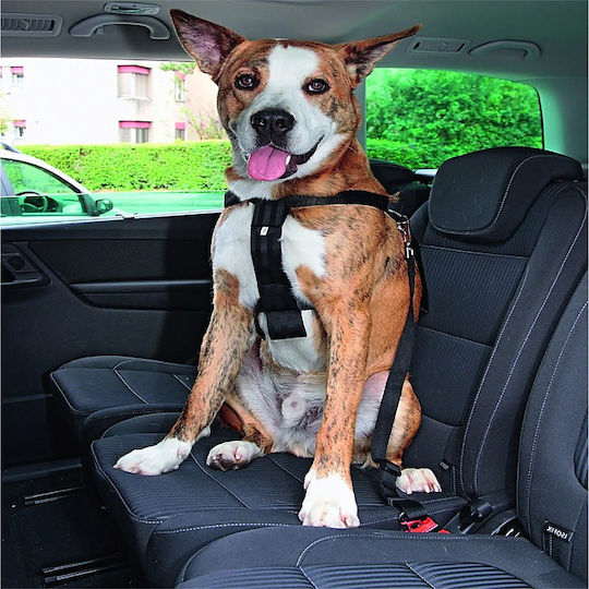 Pawise Seatbelt Car for Dog Safety Belt with Harness S 30-60cm Black