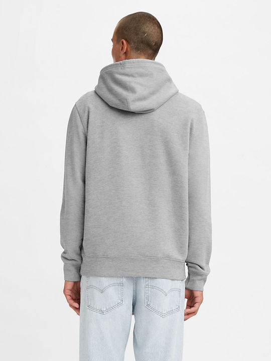Graphic Sweatshirt with Hood Gray