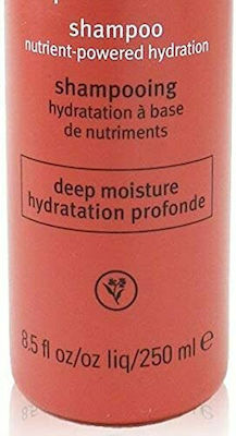 Aveda Nutri Plenish Deep Moisture Shampoos Feuchtigkeit für Trockenes Haar 1x250ml