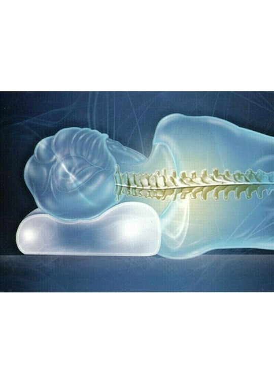 Thuasne W0460 Schlafkissen Memory-Schaum Anatomisch Mittel 36x65x10cm