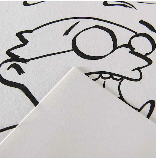 Canson Drawing Paper 250gr 65x50cm