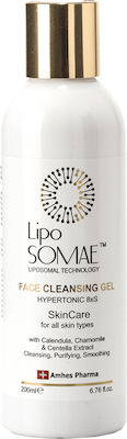 Lipo Somae Gel Reinigung Face Cleansing 200ml