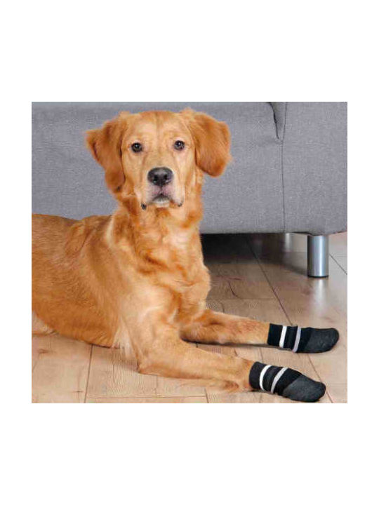Trixie Socks Dog Socks for Dogs XL Black in Black Color