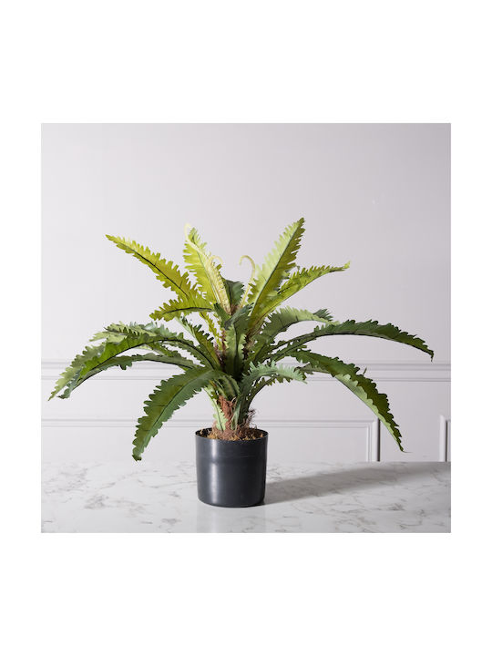 Supergreens Artificial Plant in Pot Asplenium Green 50cm