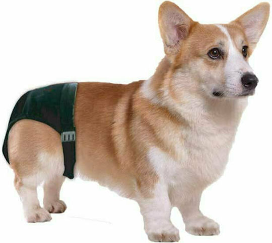 Pawise Sanitary Pants Dog Panties XXLarge 60 - 70cm 1pcs