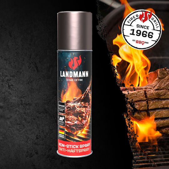 Landmann 02947 Καθαριστικό Ψησταριάς 250ml