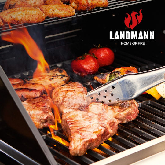 Landmann 02947 Καθαριστικό Ψησταριάς 250ml