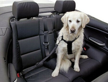 Kerbl Seatbelt Car for Dog Dog and Cat Chest Harness 70-90cm. Black