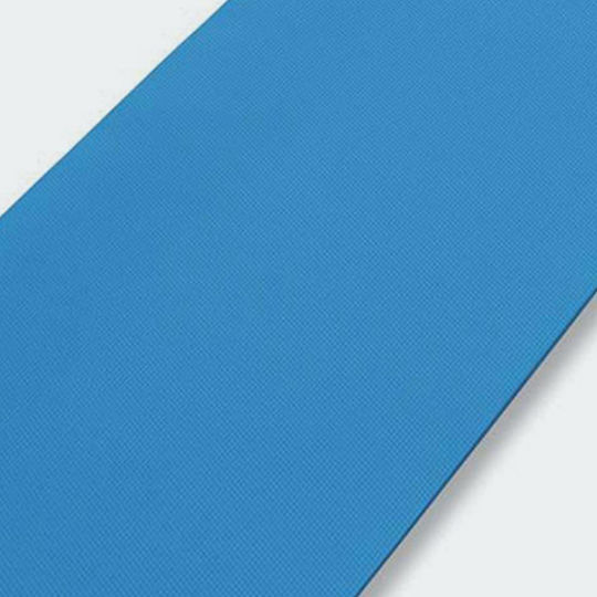 AMILA Exercise Mat Yoga Blue (173x60x0.6cm)