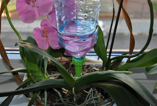 Iso Trade Κώνος / Στόμιο για Μπουκάλι 500ml