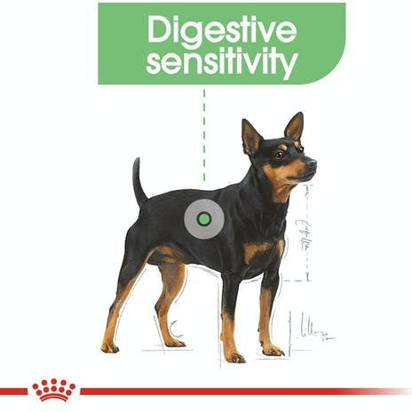 Royal Canin Digestive Care Medium 12kg Dry Food for Adult Medium Breed Dogs with Poultry and Rice