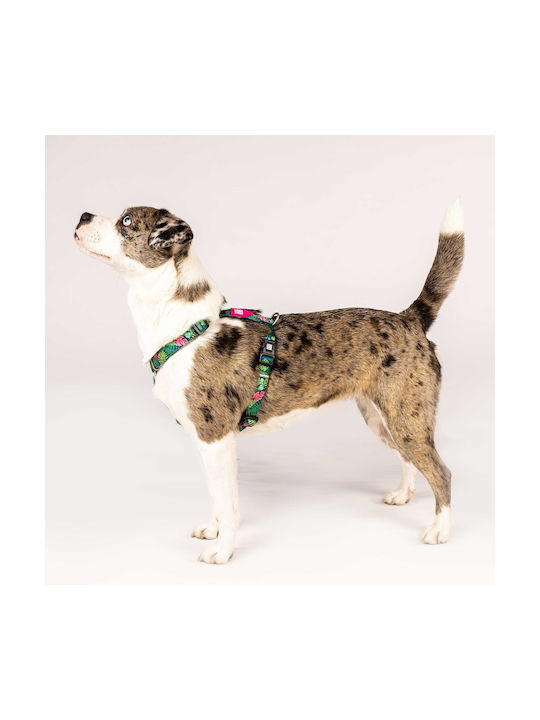 Max & Molly Σαμαράκι Σκύλου Tropical Small 15mm x 41-52cm
