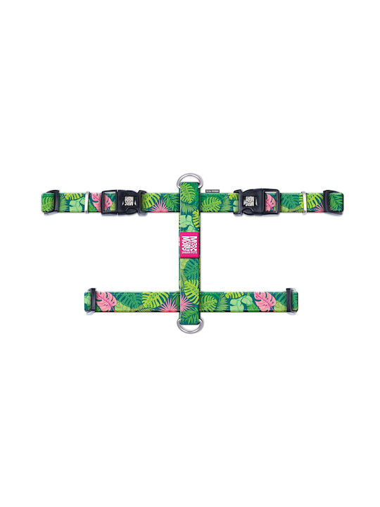 Max & Molly Tropical Small 15mm x 41-52cm Max & Molly Tropical Small 15mm x 41-52cm