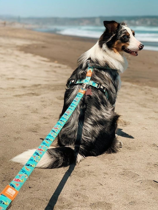 Max & Molly Dog Harness Retro Blue X-Small 10mm x 32-40cm MM070