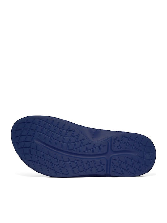 1000 Men's Flip Flops Anatomic Blue