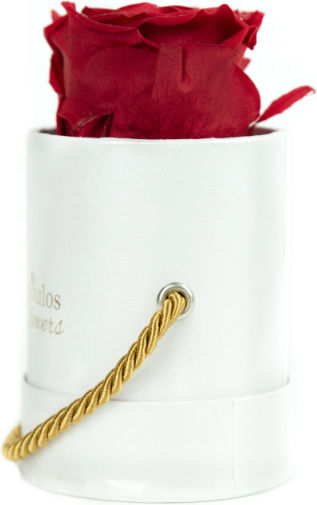 Ewige Rose Rot in Box Aleiferopoulos Flowers