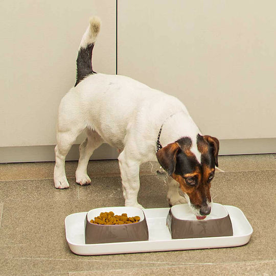 Ferplast Glam Tray Kunststoff Schalen Futter & Wasser für Hund & Katze auf Basis von 2x 800ml in Braun Farbe 2Stück