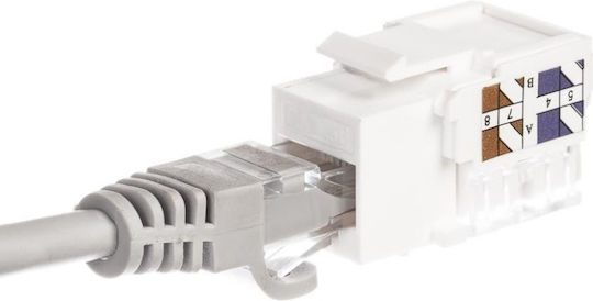 Netrack Keystone 1τμχ 105-02